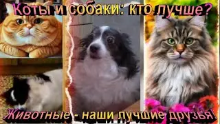Смешные котики и собачки. Юмор и работа нейросети.