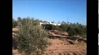 djerba