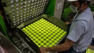 How Cricket balls and Tennis balls are made.