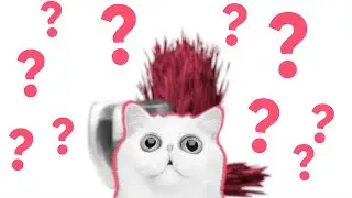 Евгений Стоцинский: 5 ошибок начинающего предпринимателя