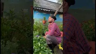 «По Дону гуляет»👉звучит ПИЩИК🪈