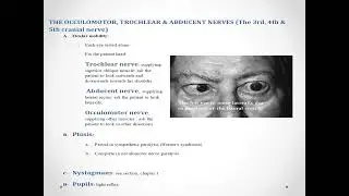 cranial nerves examination