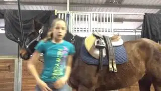 How to tack up a horse using English tack