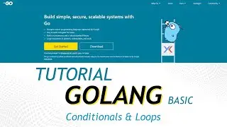 Tutorial Golang - Conditionals & Loops #4