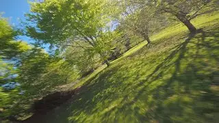 First Bloom - FPV Freestyle