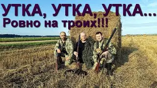 Открытие охоты на утку 2024