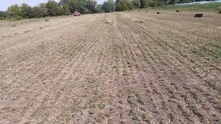 Скільки коштує затюковать 1 тюк сіна?