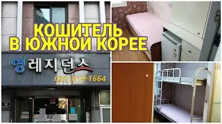 КОШИТЕЛЬ В ЮЖНОЙ КОРЕЕ | НЕДОРОГОЕ ПРОЖИВАНИЕ | РУМ ТУР