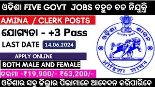 ଓଡିଶା Govt Amina | Clerk ରେ ବଡ ନିଯୁକ୍ତି | Govt Vacancy 2024 | Dist Court JOBS