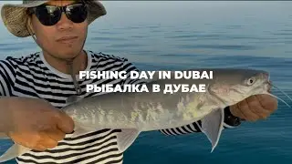 Fishing day in Dubai /  #рыбалка в Дубае