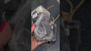 Почему в посылке по разному упакованы саженцы