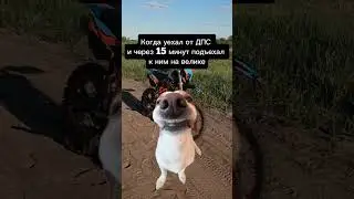 #tiktok