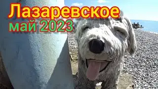 Лазаревское/ столовая Минутка/пляж Свирский/магазин Рыба/ закуп в Светофоре