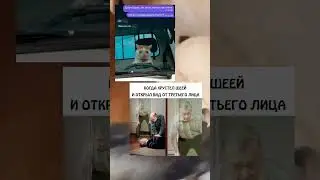 Просто #мемы