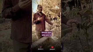 Sefil Baykuş Ağıtı - Kağızmanlı Hıfzı