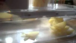 Electric Mandoline Slicer
