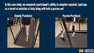 Improving Amputee Endurance over Activities of Daily Living with a Robotic Knee-Ankle Prosthesis