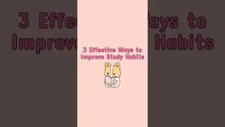 💟 3 Effective Ways to Improve Study Habits