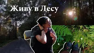 Одни В Лесу | 2 Дня Походим