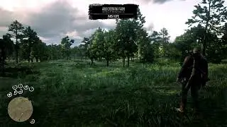 Red Dead Redemption Mod Test