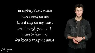 Shawn Mendes - Mercy (Lyrics)