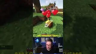 We got a Baby Bee in Minecraft!