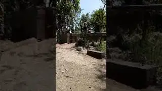 Highlight 7:40 - 12:42 from Village Life #mastipoint #nature #vlog #foryou