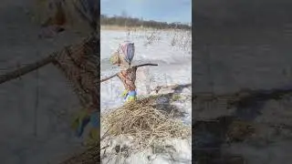 Масленица в Архангельской области