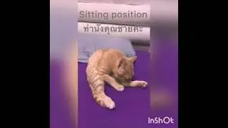 #106 My pillow 🤣🤣