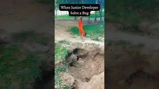 When junior devloper solve a bug