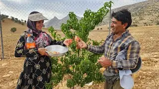 Harvesting the first crop from our garden! First peach harves [