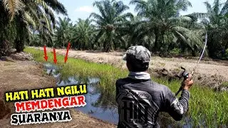 NEMU SPOT IKAN BARU TURUN KE PARIT !! SUATU HARI PASTI MELEDAK // CASTING IKAN GABUS
