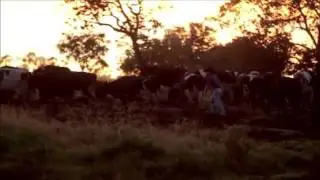 Institucional | TVM Rural