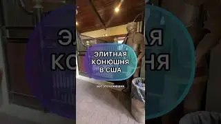 Круче, чем у Кадырова😏