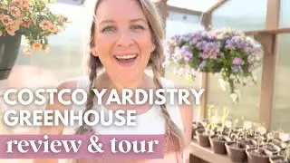 Costco Yardistry Greenhouse Review and Tour - It's finally finished!