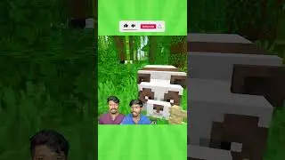 Taming Panda in Minecraft