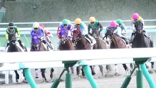 札幌競馬場 7R 3歳以上1勝クラス　藤田菜七子騎手　2019/8/25