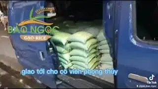 Giao Gạo Cho Cô Thay Cung Đổi Mệnh