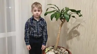 Я хотел бы, чтоб все люди о Христе могли узнать - Паша - Виноградово - Христианское стихотворение