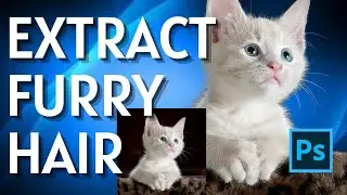 How to Remove Background Around Furry Hair in Photoshop