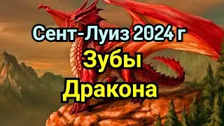 1) Кубок Синкфилда 2024г.  Шахматы. Сент-Луиз.