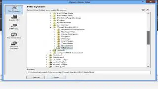 Open a website in visual studio