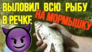 Мормышинг поймал всю рыбу в реке! ЛЕЩ КАРАСЬ ОКУНЬ ЕЛЕЦ ЯЗЬ!