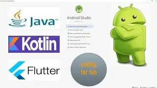Everyday life of a programmer (Mobile developer)