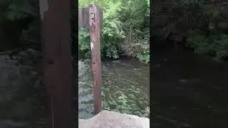 Красота Лебедянского района 