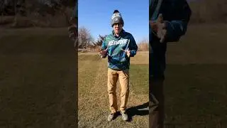 Which grass plots are the greenest in Feb? #lawngoals #lawncare #lawnshorts