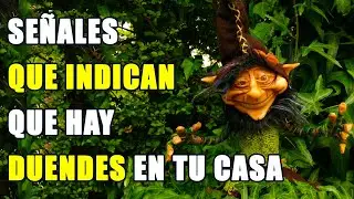 Señales que indican que en tu casa hay duendes