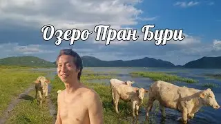 64. ЗНАКОМИМСЯ С КОЗОЧКАМИ, ОЗЕРО ПРАН БУРИ, ПРОВИНЦИЯ ПРАЧУАПКРИКХАН