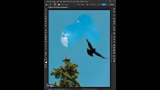 Easy Sky Replacement in Photoshop 