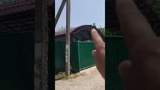 Навес 50м².